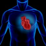 هولوگرام در صنعت قلب و عروق